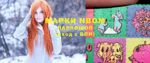 бошки Снежинск
